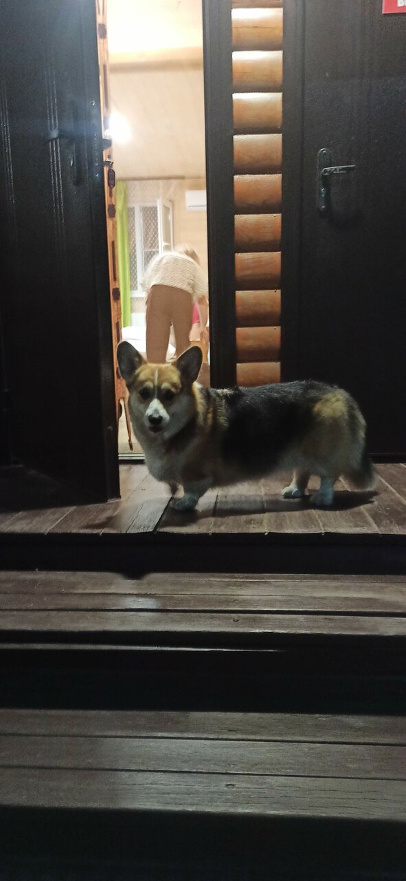 Гостиница Надежда Миллерово-93